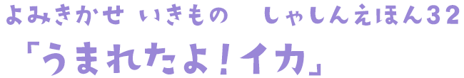 よみきかせ　いきもの　しゃしんえほん32　「うまれたよ！イカ」