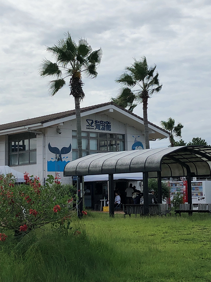 海湖館