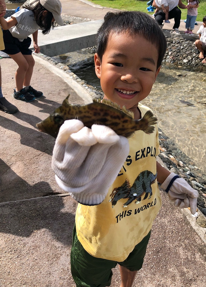 海湖館