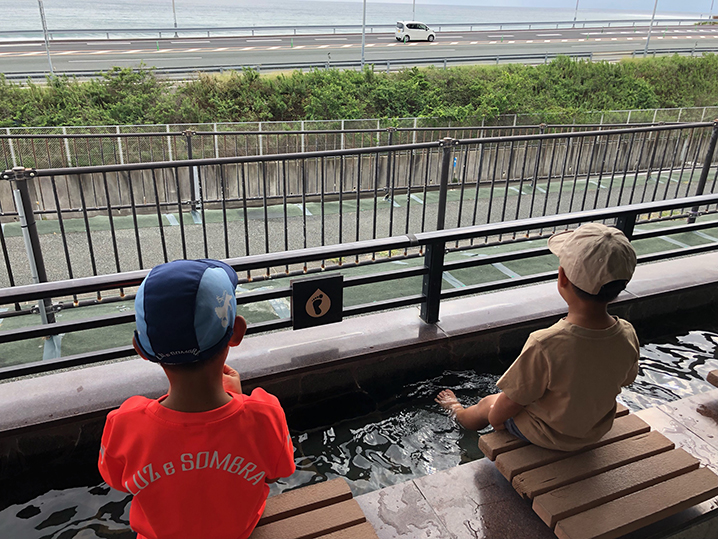 海湖館